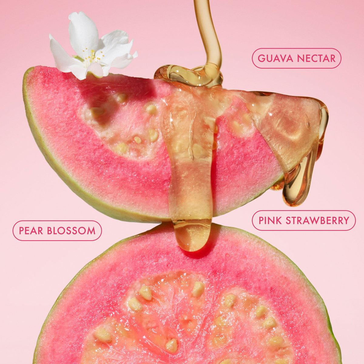 mini-body-butter-trio-j6 BodyButterBalmPinkGuava_3.jpg