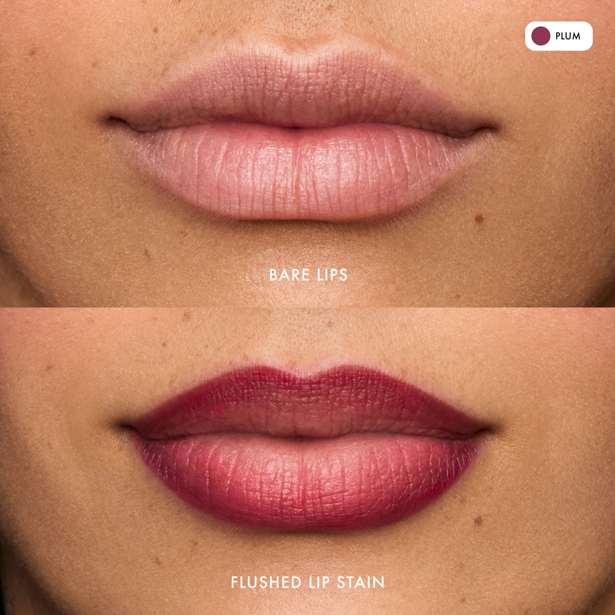 flushed-lip-stain-plum-z8 FlushedLipStain_Plum_B_A.jpg
